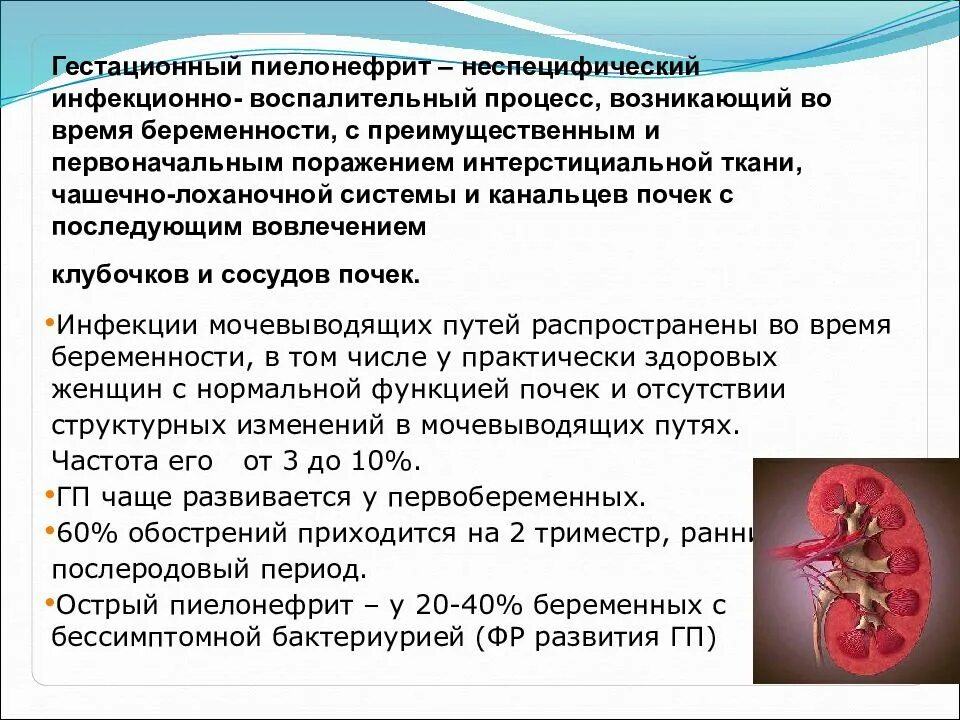 Мочеполовые болезни у мужчин симптомы лечение. Воспалительные заболевания мочевыводящих путей. Вирусное заболевание мочеполовой системы. Воспалительные процессы мочевыделительной системы. Инфекционные заболевания мочевыделительной системы.