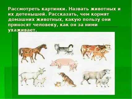 Этих животных считая что они