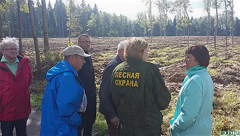 Лесничество москва