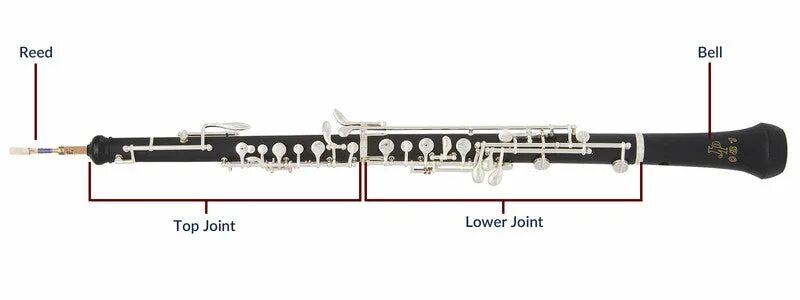 Басовый гобой 5 букв сканворд. Гобой строение. 1880 oboe. oboe description. телтос гобой 7к 2000.
