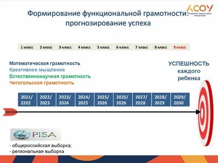 Pisa функциональная грамотность 2024