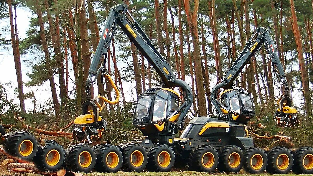 Харвестер ecolog 580d. Машина спиливающая деревья. Харвестер для рубки леса. Logman 801 харвестер. Харвестерная головка ponsse h7.