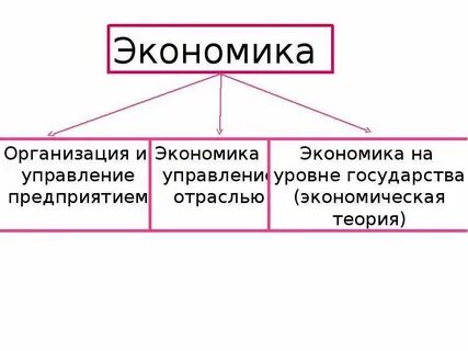 Звено экономической системы