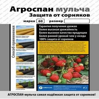 Плантмания интернет магазин садоводческий