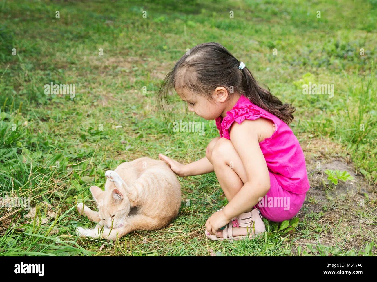 Гладить кошку. Девочка гладит кошку. Ребенок гладит кошку. Девушка гладит кота. Девочка гладит котенка.