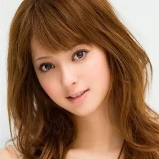 Japan model