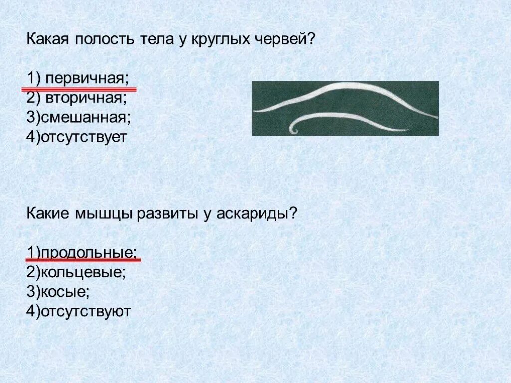 У круглых червей отсутствует