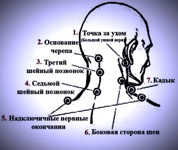 Две точки на шее. Точка у основания черепа. болевые точки на шее человека. болевые точки на голове. болевые точки на голове человека.