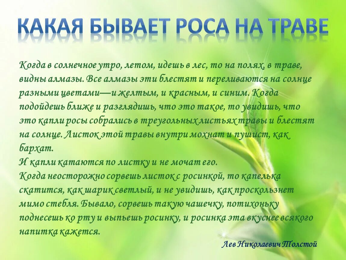 Л.Н.Толстого "какая бывает роса на траве". Л Н толстой какая бывает роса на траве. Каккя бывает раса на трове. Какая бывает роса на траве.