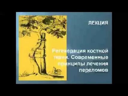 Лекции по травматологии
