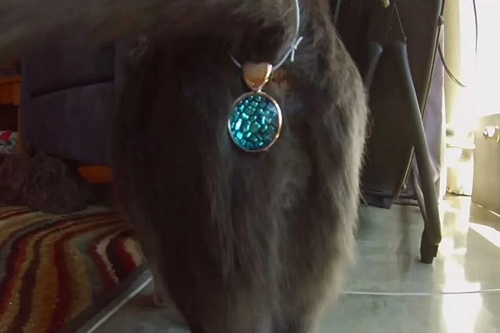 Анальный стимулятор с вибрацией и пультом. Металлическая анальная пробка. Отзывы на алиэкспресс приколы. Смешные отзывы о товарах. Juicy toyz анальная пробка с кристаллом m крол_198.