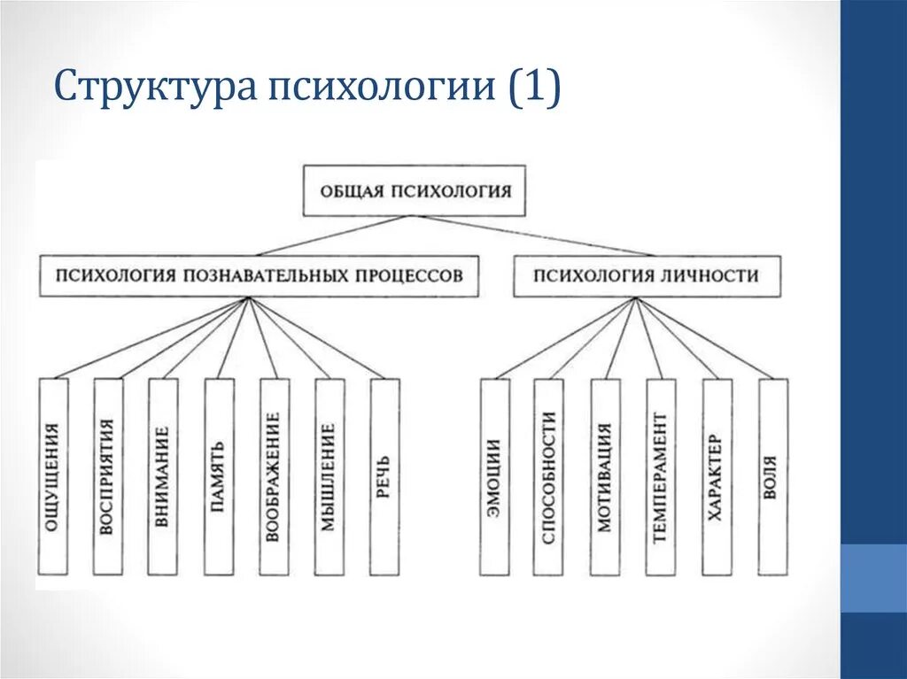 Схема структуры психологической науки. Структура и отрасли психологии схема. Структура современной психологии схема. Структура современной психологии отрасли психологии. Отрасли изучения психологии