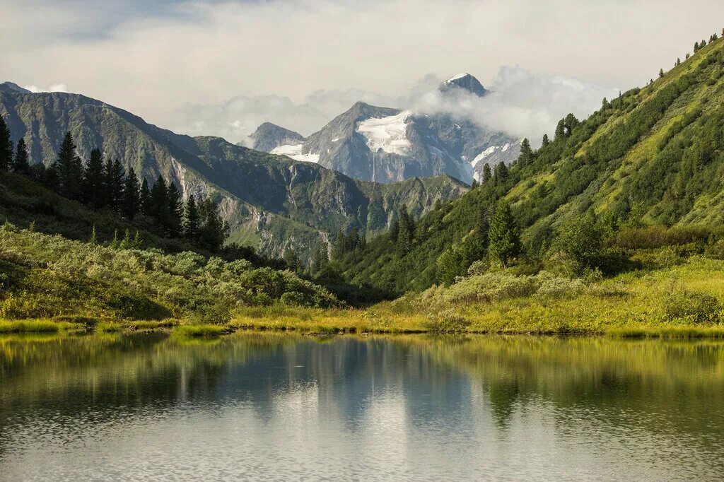 Отроги саян. Центр саян. Центральные саяны. Центральный саян 2020. Центр саян.