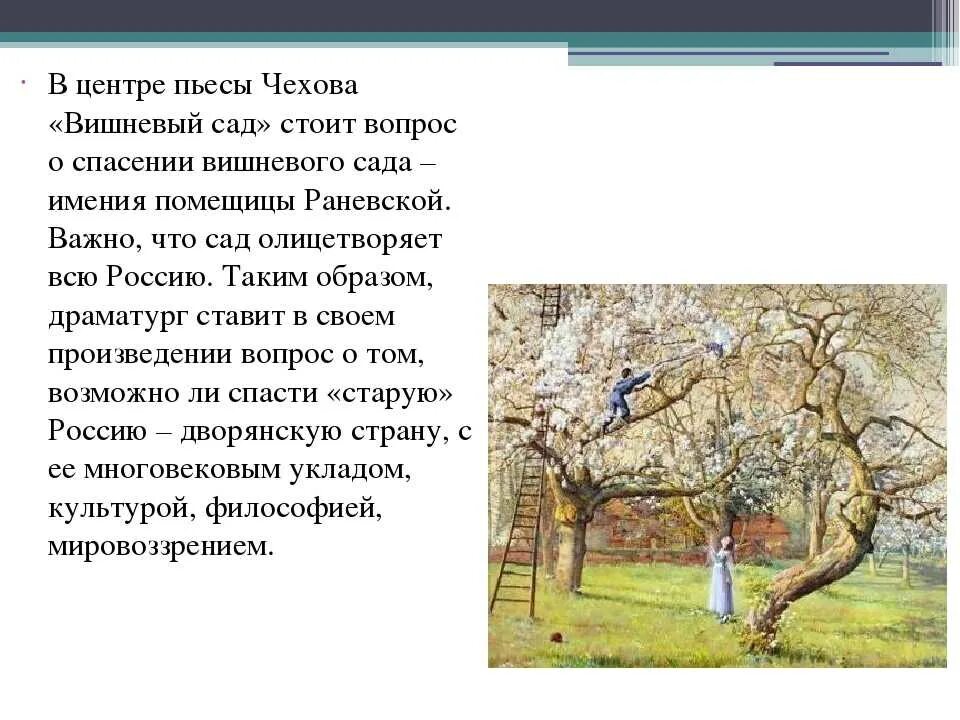 Смысл названия вишневый вишневый. А п чехова вишневый сад. а.п.чехов чеховский сад. чехов а.п. &quot;вишневый сад&quot;. вишнёвый сад краткое содержание.