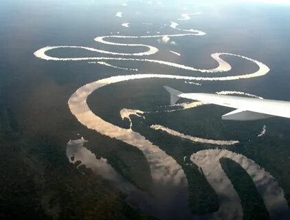Чем похожи реки амазонка и обь