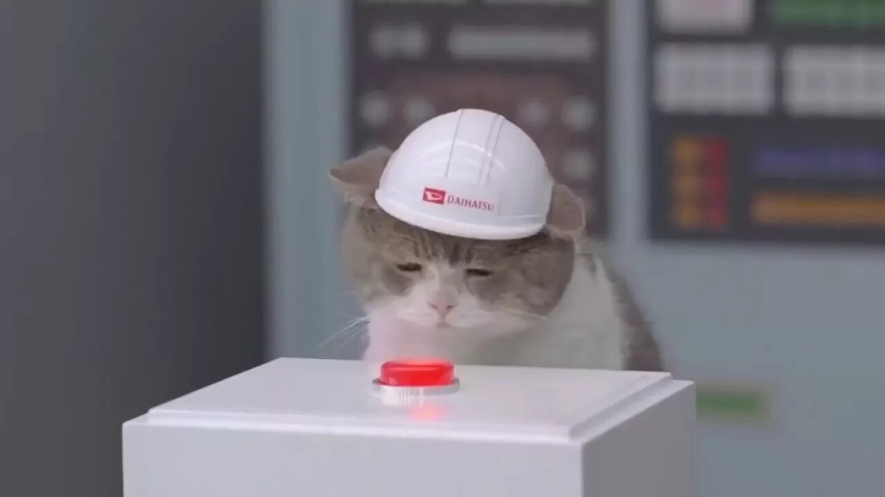 Надпись нажми на меня. Картинка нажми на меня. Кот с кнопкой мем. Грустный кот нажимает на кнопку. Нажать котика.