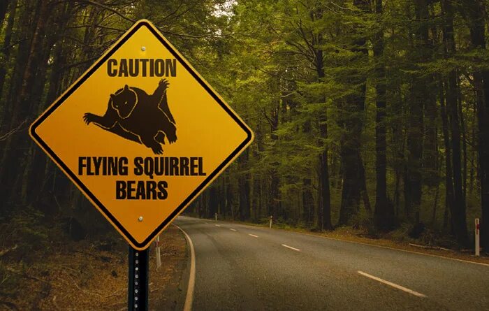 Летающий медведь. Летающий медведь. Flyingbear-ghost 5 эмблема. Fly flying bear. Летящий мишка игрушка.