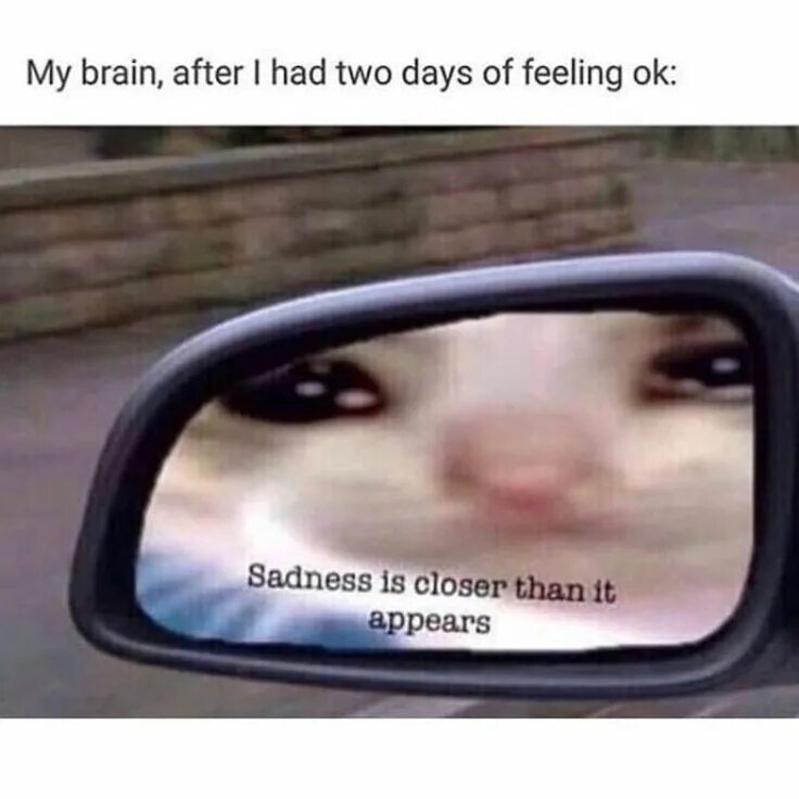 It appears that. It appears that