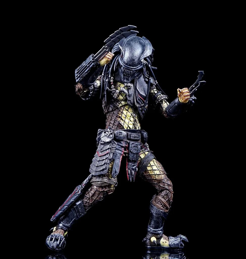 Хищник zbrush. Хищник чужой против хищника. Хищник яутжа. Человек является хищником. Хищник скар и алекса вудс арт.