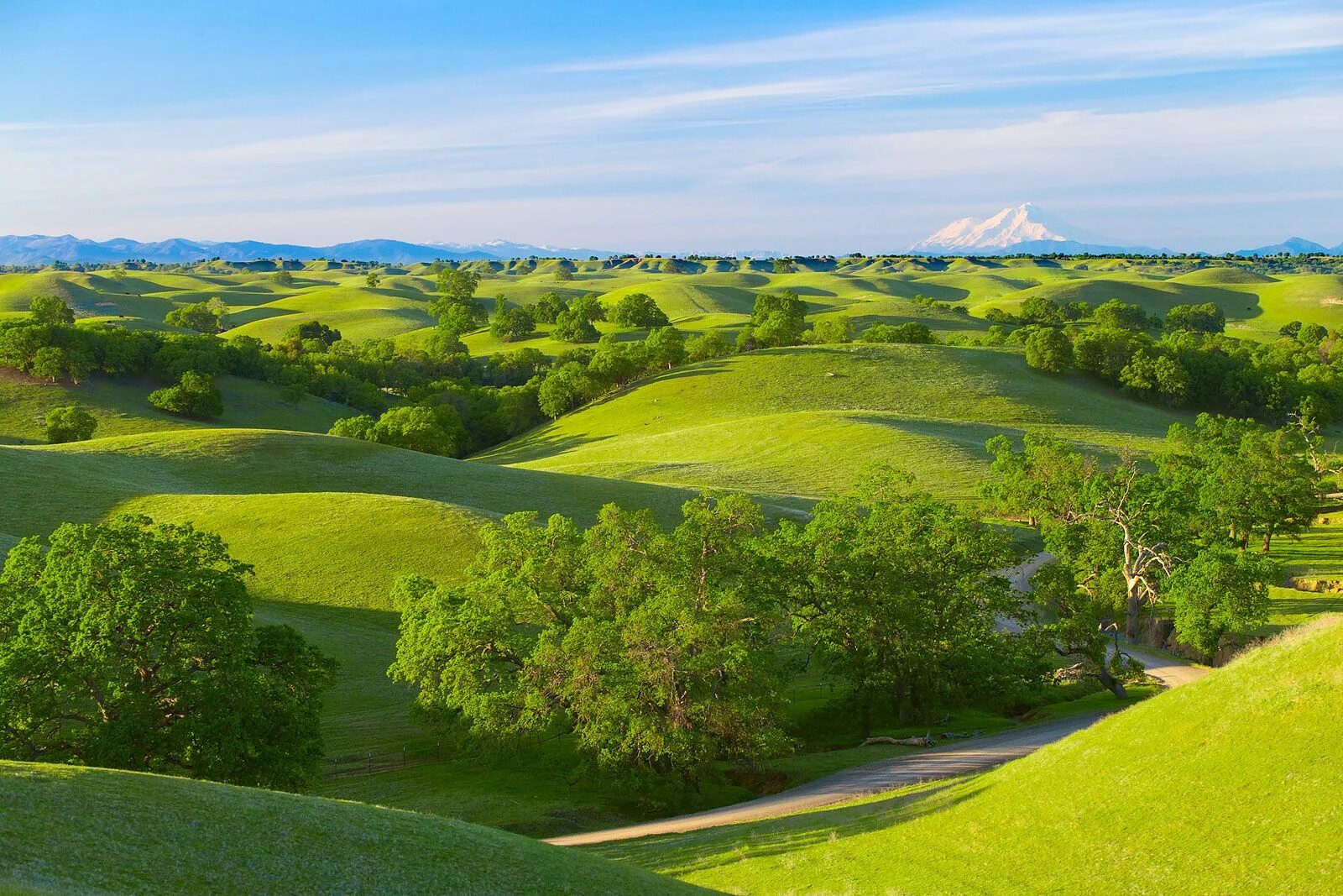 Rolling hills. Долина Сакраменто. Сакраменто природа. Парки Сакраменто. Долина Сакраменто фото.