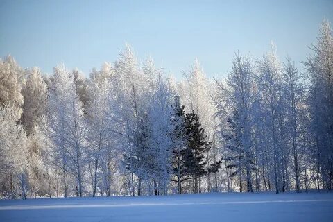 Урал февраль