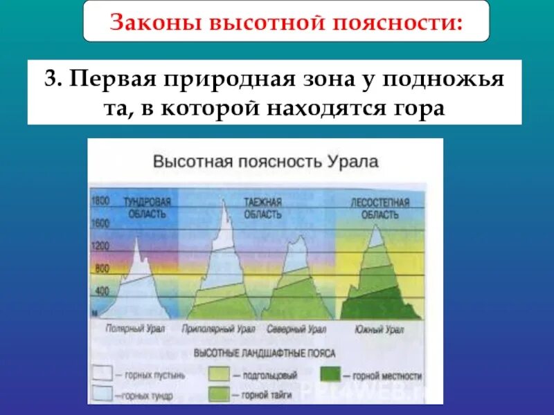 Схема ВЫСОТНОЙ поясности в горах. Высотная поясность Евразии таблица 7 класс география. Природные зоны на Урале ВЫСОТНОЙ поясности. Высотная поясность крымских гор 8 класс. Природные зоны гор алтая таблица