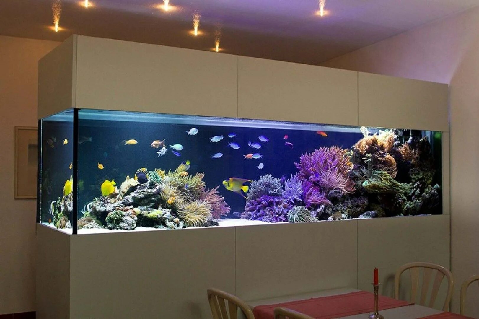 Аквариум aquarium. Аквариум Himat wab. Настенный аквариум Himat. Аквариум Acuario Inbursa. Красивый домашний аквариум.