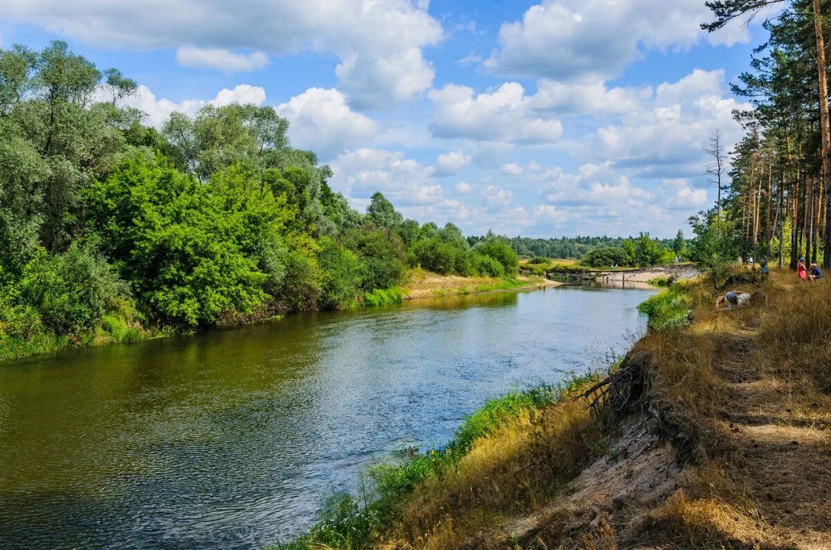 красногорск река десна. озеро шелубей теньгушевский район. река болва брянск. водные объекты брянской. речка десна в брянске.