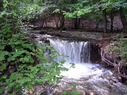 Заповедники заказники крыма