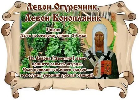 9 июня народный календарь
