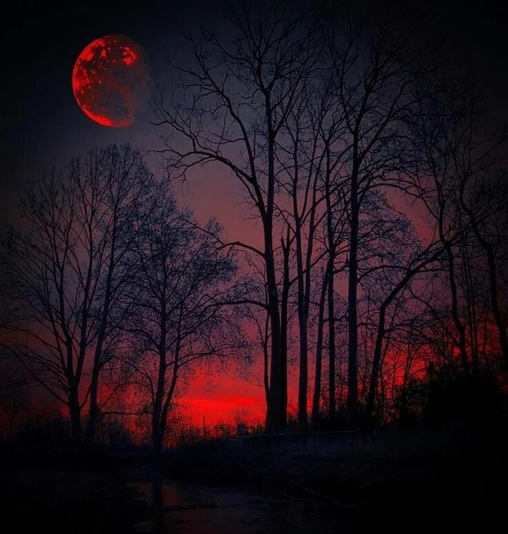 RED MOON - Jake Lazarus - YouTube