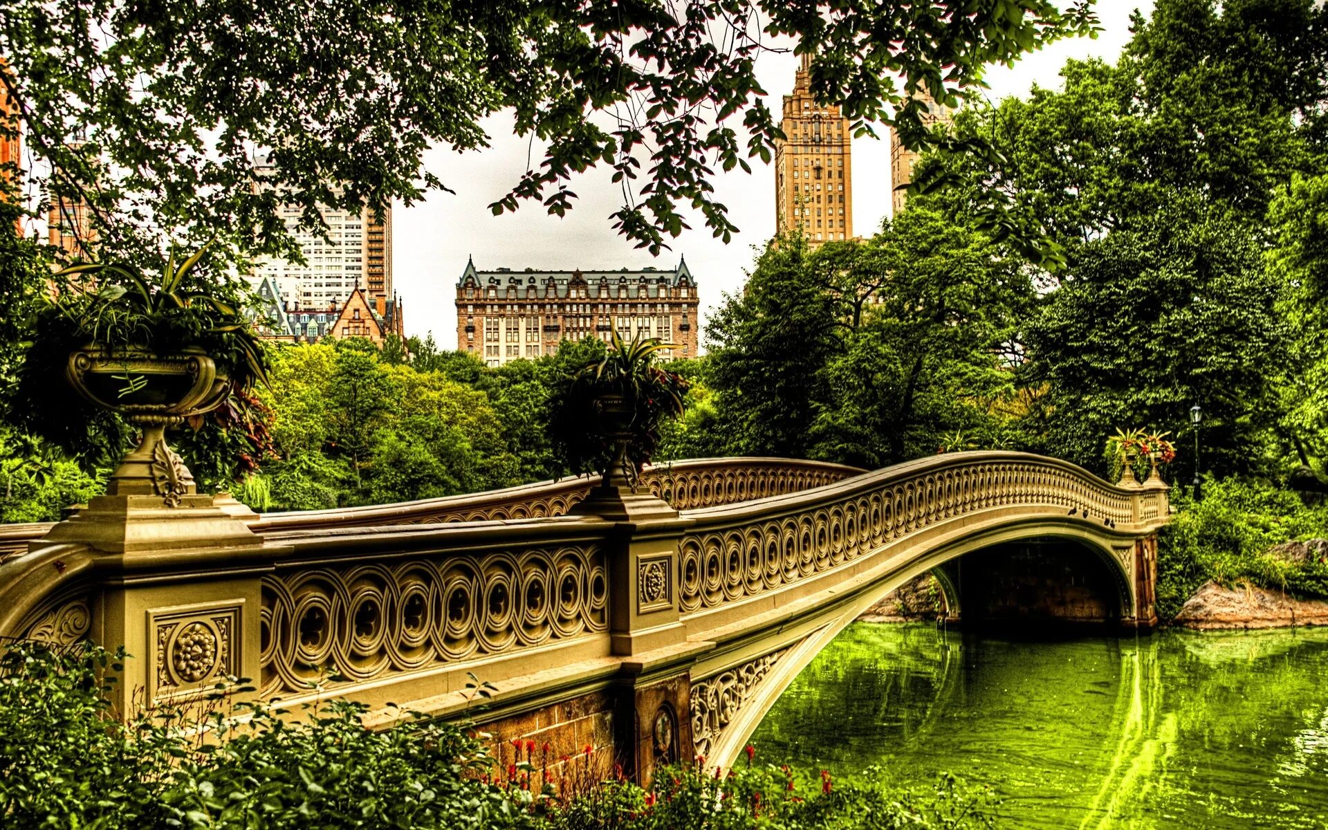 Центральный парк Нью-Йорк. Централ парк Нью-Йорк мост. Центральный парк Нью Йорк архитектура. Централ парк Нью-Йорк деревья. Картинки природы города