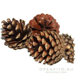 Наружная шишка