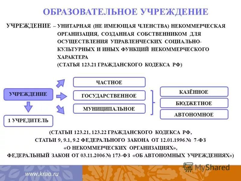 некоммерческая организация созданная собственником для осуществления