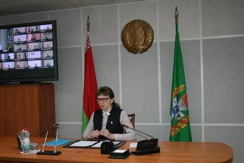 Суды гомеля районы
