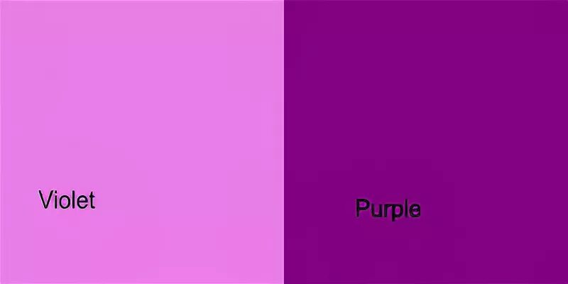 Перевод с английский на русский purple. Фиолетовый на онгл. Purple Violet разница. Сиреневый и фиолетовый цвет. Пурпурно лиловый цвет.