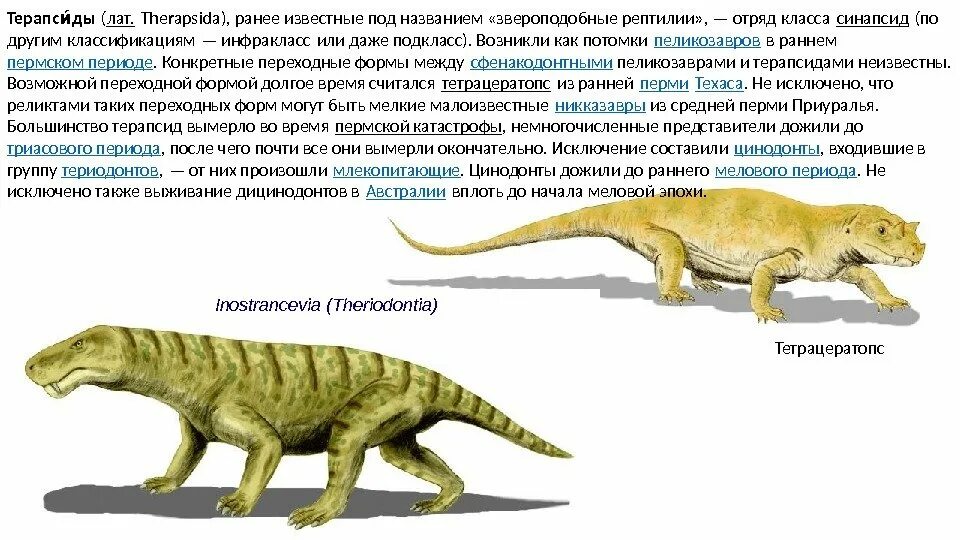 Звероподобные пресмыкающиеся