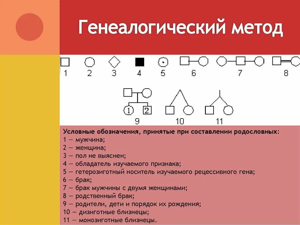 Условные обозначения генетики. Генеалогический метод обозначения. Условные обозначения для составления родословной. Составление родословной. Родословная генеалогический метод.