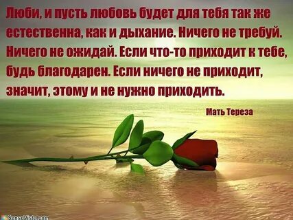 Избранные афоризмы
