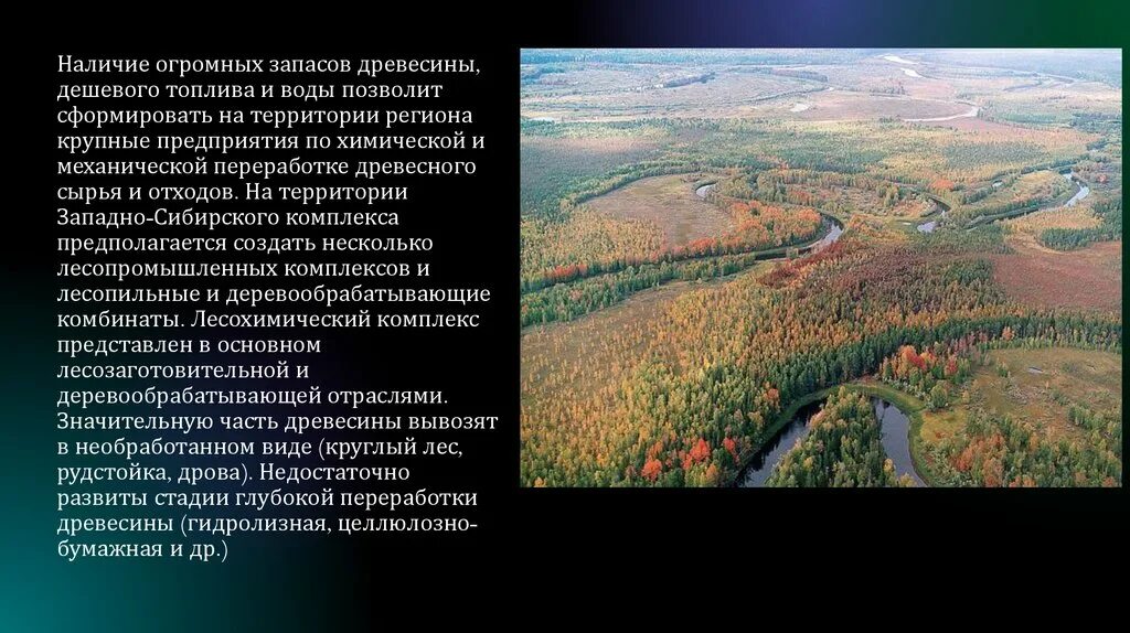 Природные условия и ресурсы западной сибири. Природные условия Западной Сибири. Лесная промышленность Западной Сибири. Природные ресурсы Западно сибирской равнины. Западная Сибирь презентация.