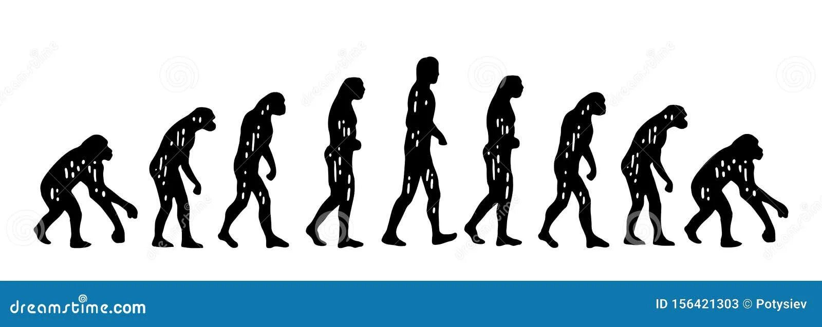 Процесс превращения человека в обезьяну. Эволюция человека от обезьяны. Эволюция обезьяны в человека. Эволюция человека от обезьяны к человеку. Человек от обезьяны до человека.