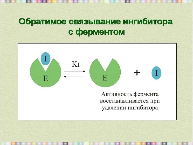 Ингибирование ферментативной реакции. Обратимое ингибирование ферментов. обратимое и необратимое ингибирование. связывание ингибиторов фермента. влияние ингибиторов на активность ферментов.