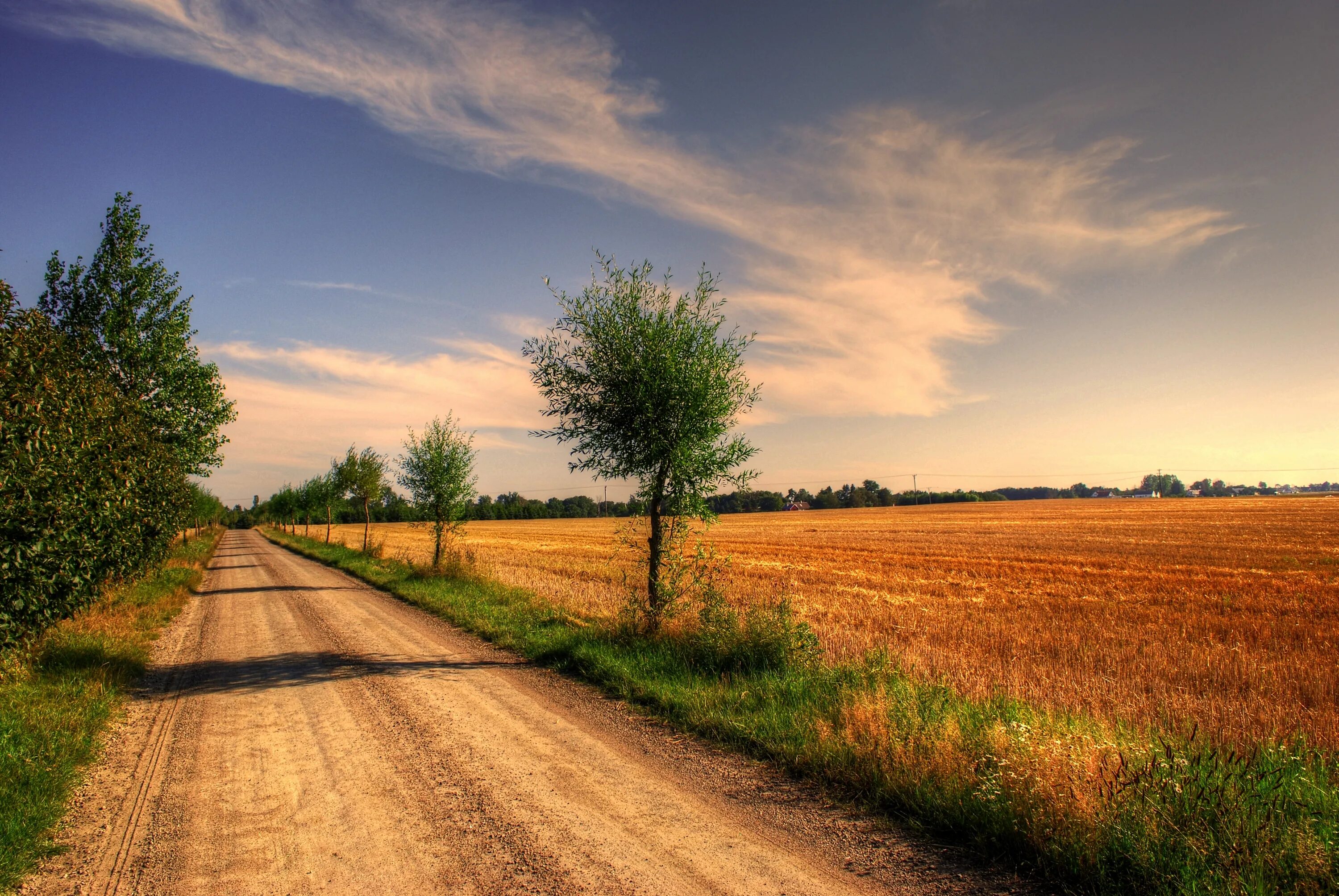 County roads. Дорога в поле. Проселочная дорога. Сельская дорога. Пейзаж с дорогой.