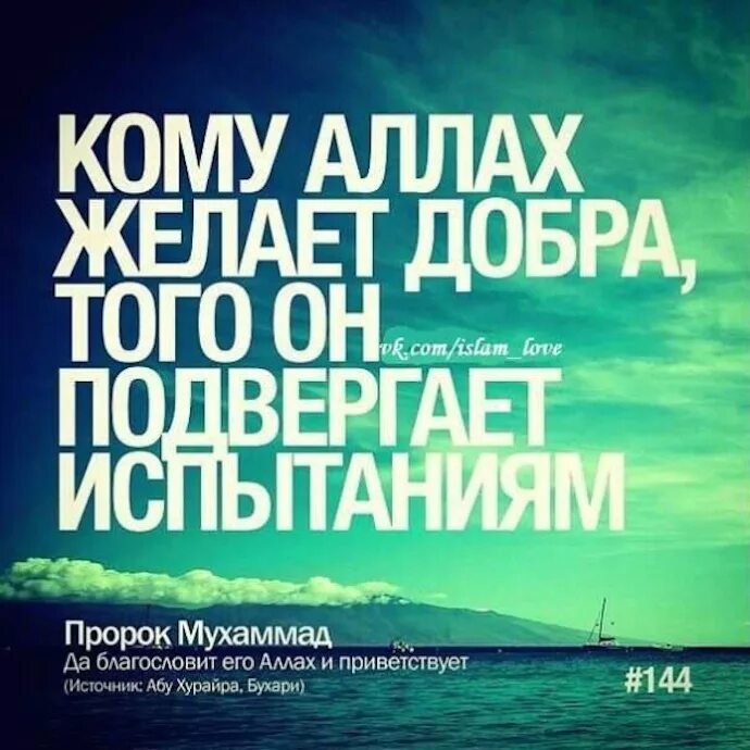 Награда от аллаха. Мусульманские цитаты. Исламские цитаты. Мудрые слова в Исламе.