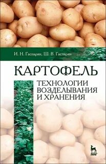 Внедрение более производительных технологий выращивания картофеля