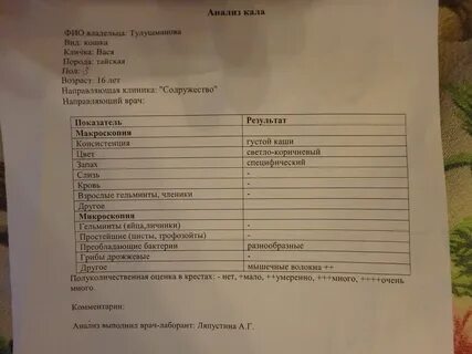 Анализ на простейшие в кале
