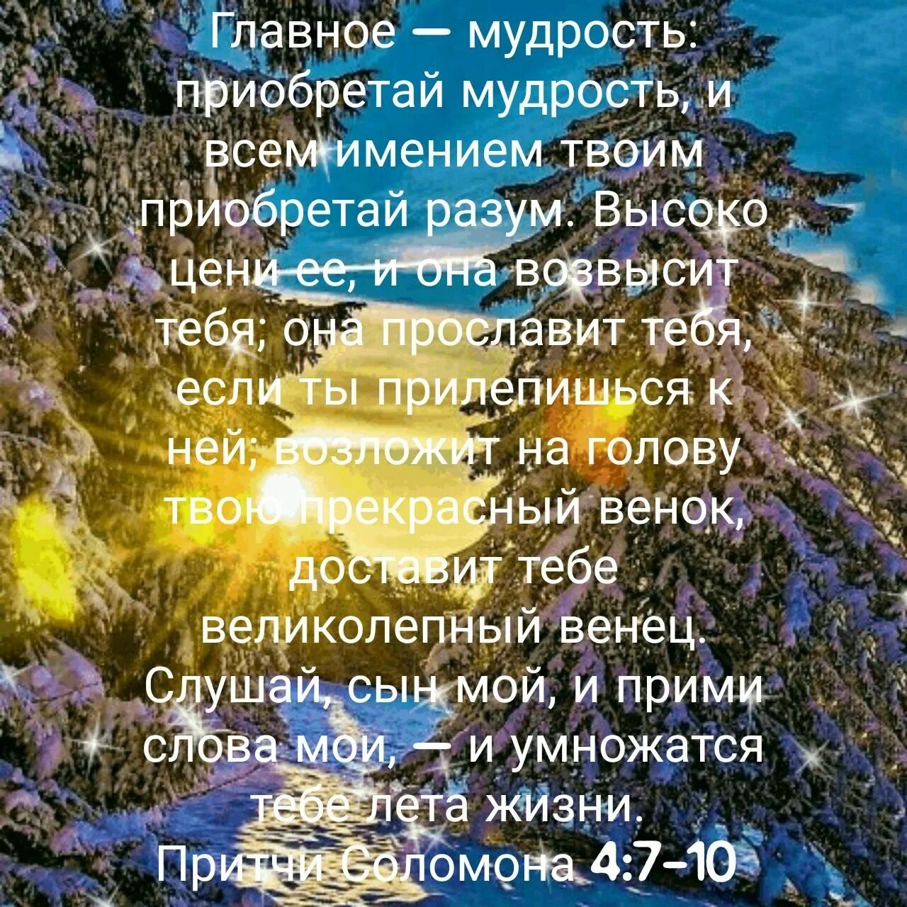 Приобрести мудрость. Приобретай разум. Главное мудрость приобретай. Мудрость христианская. Приобретай разум.