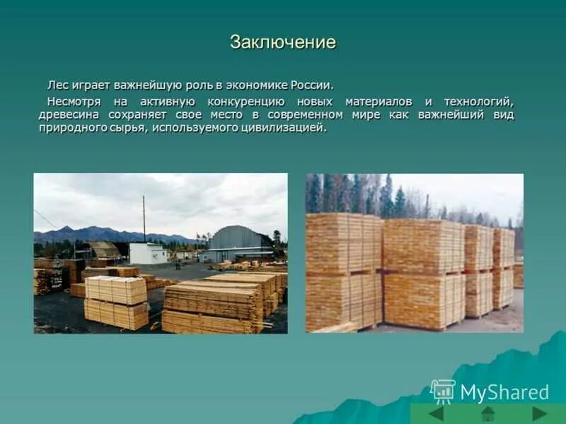 Лесная промышленность. Лесная и деревообрабатывающая промышленность России. Отрасли Лесной и деревообрабатывающей промышленности. Сырьё в деревообрабатывающей промышленности.