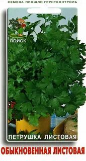 Семена петрушка листовая