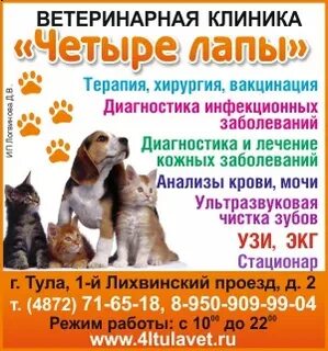 4 лапы режим